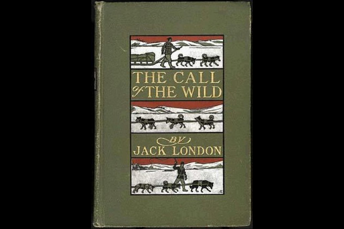 Resumen de La llamada de lo salvaje de Jack London