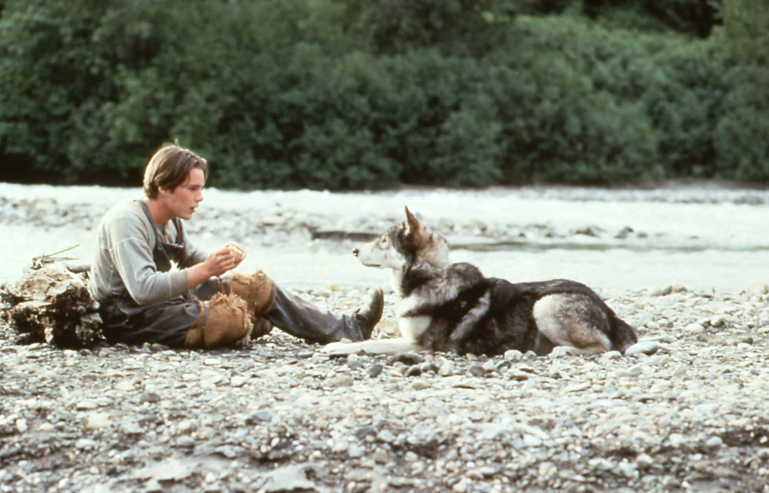 Personajes de Colmillo Blanco de Jack London