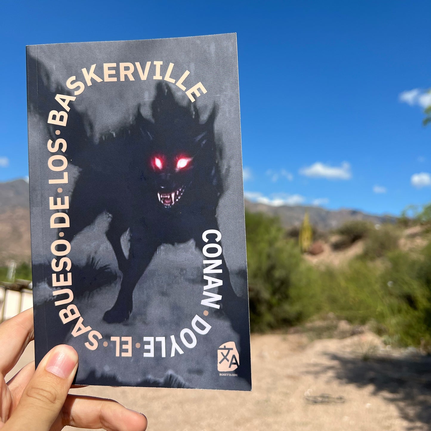 El sabueso de los Baskerville | Libro