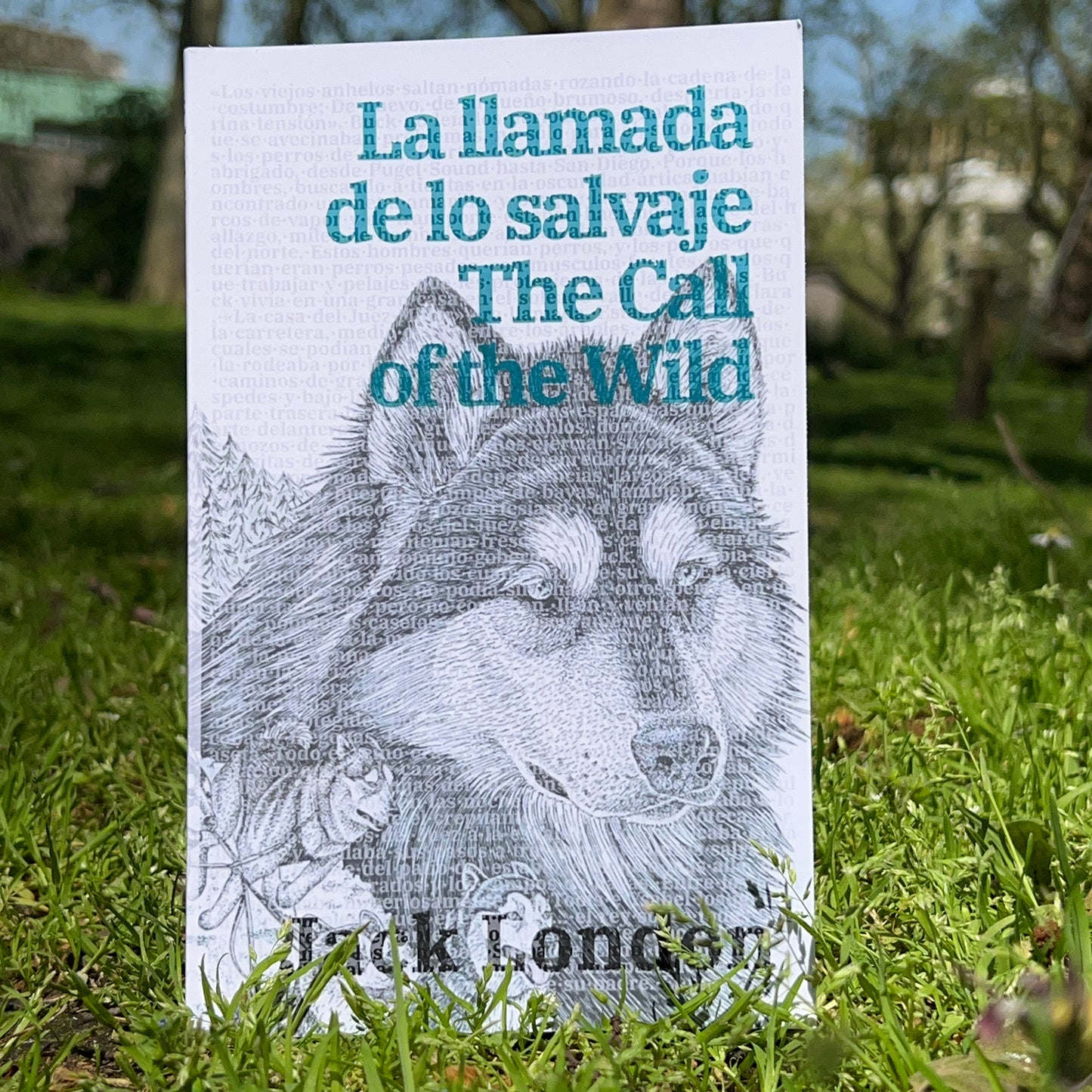 La llamada de lo salvaje - The Call of the Wild | Libro bilingüe - Español / Inglés